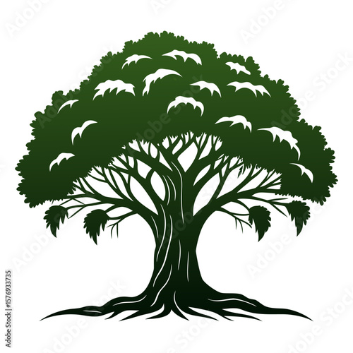Banyan tree silhouette on  white background 