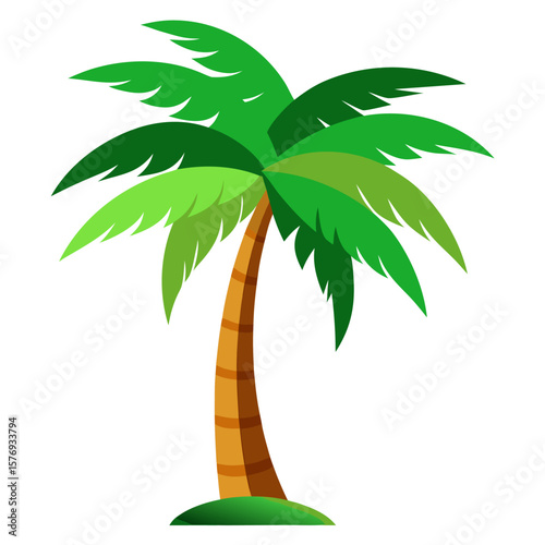 palm tree vector illustration
