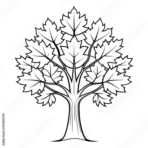 Maple tree outline vector