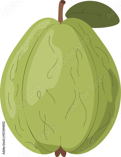Detailed Guava Vector Art with Intricate Line Work and Realistic Shading on a Transparent Background Perfect for Culinary and Educational Designs
