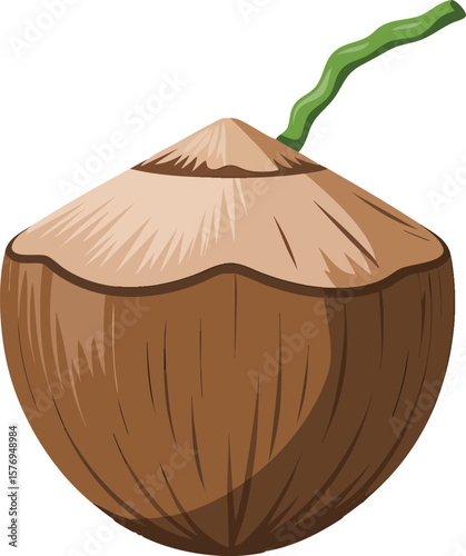 Whole Coconut Vector Graphic: A Detailed Illustration of a Complete Coconut with Brown Husk and Green Stem on a Transparent Background for Food Projects