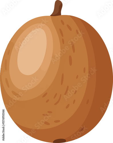 A Detailed Longan Vector Illustration Featuring Its Smooth Brown Skin and Subtle Markings, Set Against a Transparent Background for Versatile Design Integration and Use