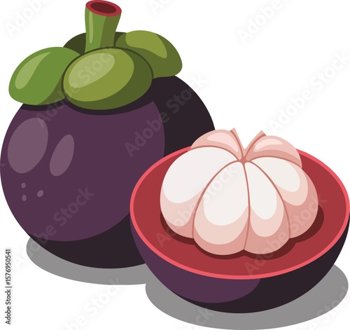 Vibrant Mangosteen Vector Art: A Luscious Depiction of the Queen of Fruits, Ideal for Gourmet Food Projects, Tropical Themes, and Culinary Designs