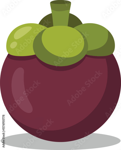 Simple Mangosteen Vector Illustration: A Clean and Clear Depiction of a Tropical Delight, Ideal for Children's Books, Infographics, and Dietary Guides