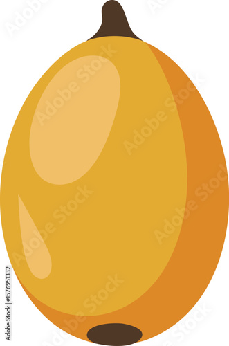 Vibrant Loquat Vector Illustration A Detailed and Colorful Depiction of the Sweet and Tangy Fruit on a Simple Background for Culinary and Educational Purposes