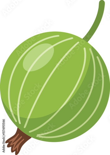 A Detailed Gooseberry Vector Illustration Showcasing Its Translucent Skin and Prominent Veins, Complete with Stem and Sepals, Set on a Transparent Background for Versatile Use