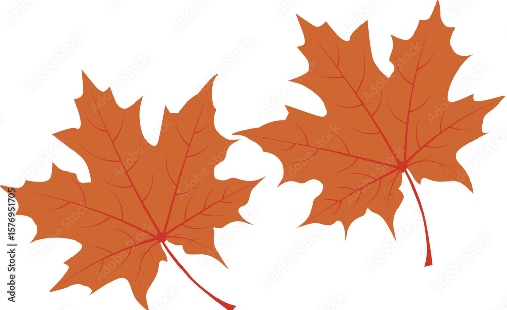 Art & Illustration leaf Art & Illustration leaf