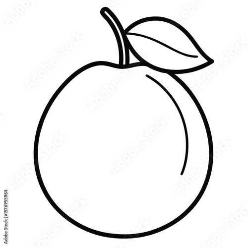 guava fruit vector