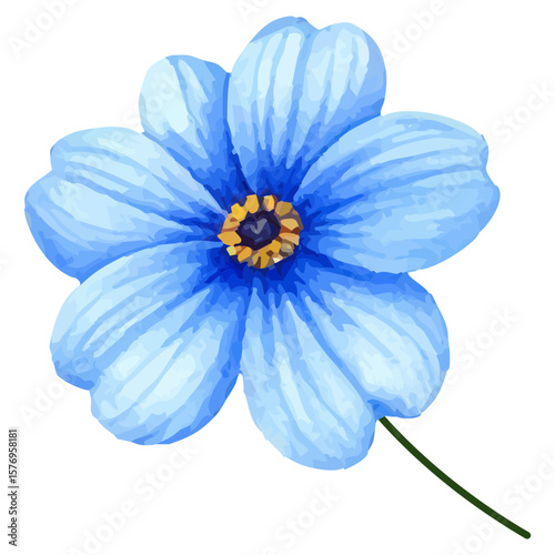 hand-painted watercolor of blue anemone flower isolated on white