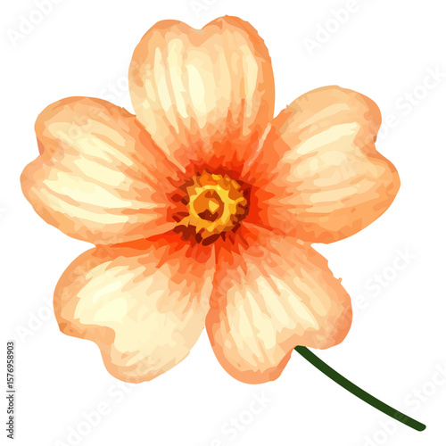 hand-painted watercolor of a Beautiful single orange flower isolated on a white background