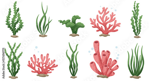 Marine plant collection in cartoon style: seaweed, coral, and algae