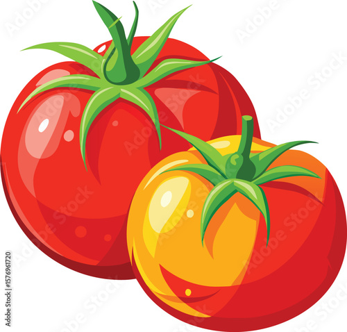 tomatoes vector vegetable