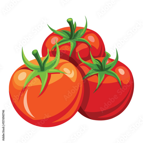tomatoes vector vegetable