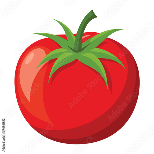 tomatoes vector vegetable