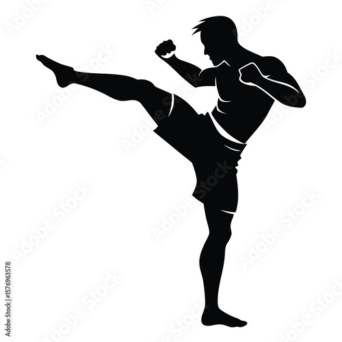 Silhouette of a martial artist delivering a high kick action pose in dynamic black and white