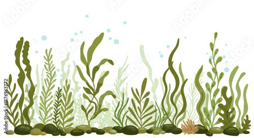 Underwater seaweed scene with bubbles and rocks in flat style