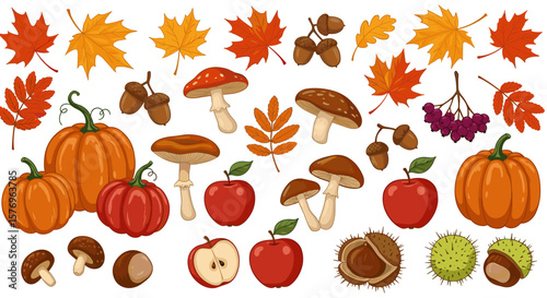 Vibrant autumn harvest with pumpkins, mushrooms, and leaves