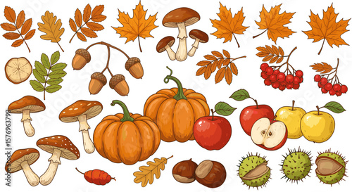 Autumn harvest: pumpkins, mushrooms, leaves, and seasonal fruits collection