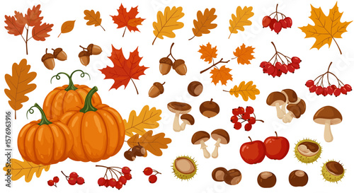 Autumn harvest elements with pumpkins, leaves, and fruits in a flat design