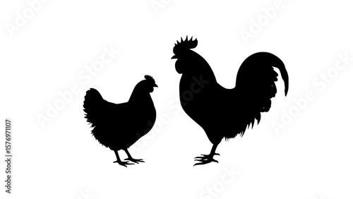 Silhouette of rooster and hen standing on a transparent background