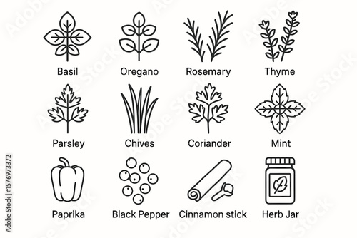 Herb and spice icons: basil, oregano, rosemary, thyme, parsley, chives, coriander, mint