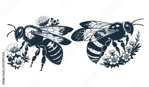 Detailed bee illustrations showcase the intricate patterns and textures of these vital pollinators, surrounded by delicate floral elements, isolated on white background