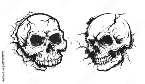 Intricately detailed skull illustrations, isolated on white background, showcase the stark beauty of human anatomy and the macabre allure of halloween