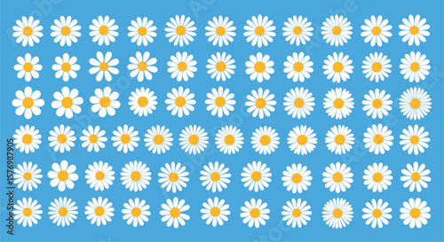A collection of stylized white daisy flowers on a vibrant blue background