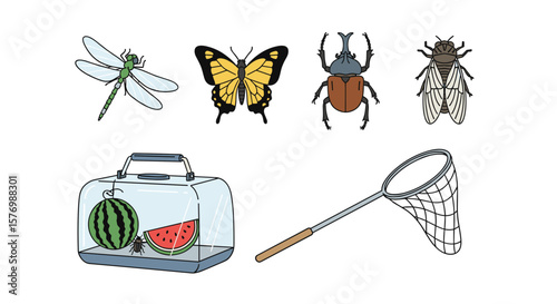 Discovering the fascinating world of insects and outdoor adventures with a butterfly net and picnic basket