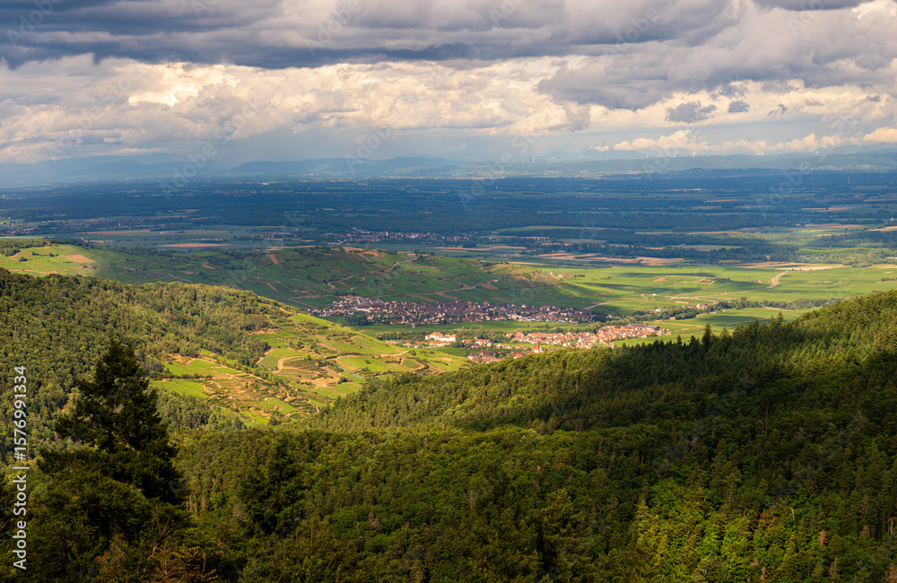 Fototapeta premium Versant des Vosges, coteaux viticoles, villages alsaciens et plaine d'alsace vu depuis le masif des Vosges, Alsace, CEA, Grand Est, France