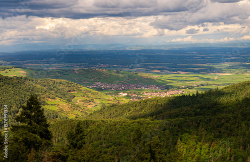 Versant des Vosges, coteaux viticoles, villages alsaciens et plaine d'alsace vu depuis le masif des Vosges, Alsace, CEA, Grand Est, France