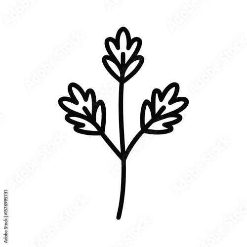 Cilantro Sprout Outline Vector Illustration