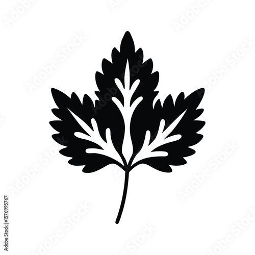 Cilantro Leaf Outline Vector Illustration