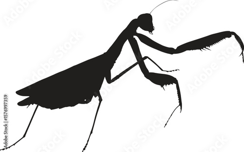 Garden insect vector silhouette collection