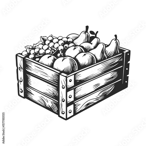 Wooden crate of fruit with grapes, apples, and pears, hand-drawn for rustic charm. Wooden crate of fruit displays nature's bounty with classic vintage style.