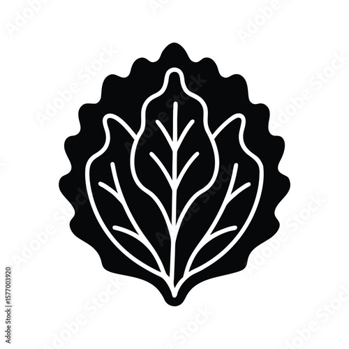 Red Leaf Lettuce Outline Vector Illustration