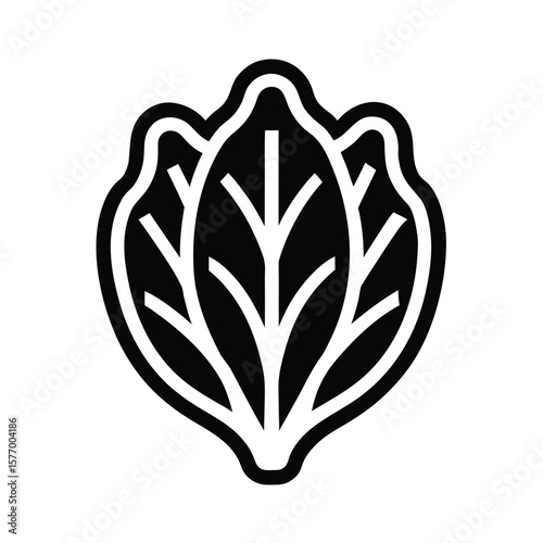 Romaine Lettuce Leaf Outline Vector Illustration