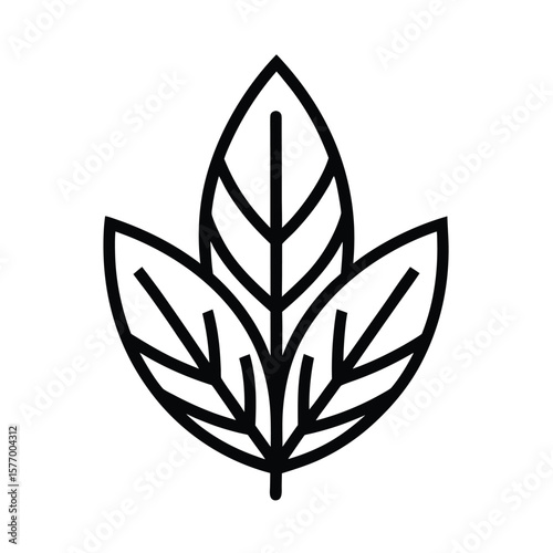 Sage Leaf Outlined Icon Vector Illustration