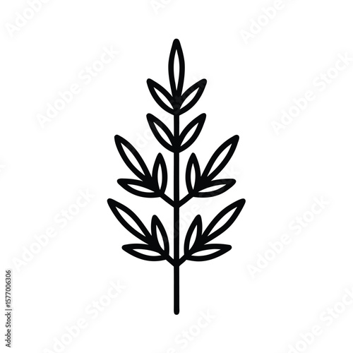 Thyme Sprig Outline Vector Illustration