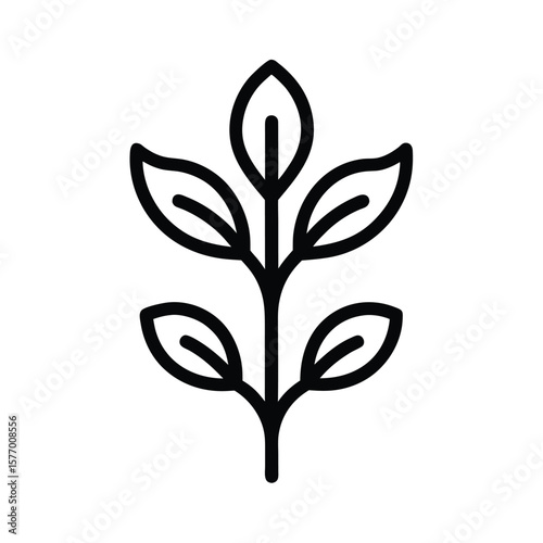Arugula Sprout Outline Vector Illustration