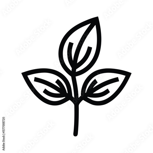 Basil Sprout Outlined Vector Illustration