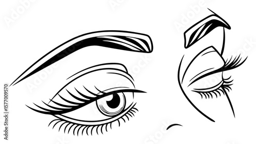Eye makeup tutorial illustration for beauty blog and fashion design with eyebrow and eyelashes drawing