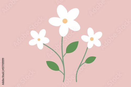 pink flowers on a white background