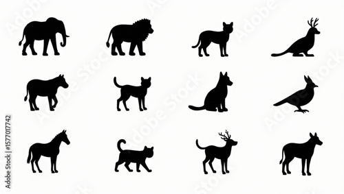Silhouette illustrations of various animals including an elephant, lion, cat, deer, zebra, dog, horse, and bird, arranged in a grid.