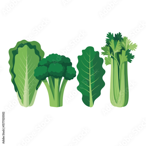 Assortment of fresh green vegetables including lettuce broccoli celery and spinach leaves