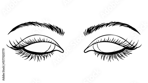 Eyes with lashes and eyebrows drawing vector illustration for beauty and fashion design projects and artwork