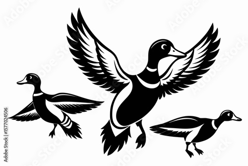 Three stylized mallard ducks in flight with wings spread wide