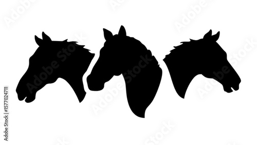 Three horse heads silhouette vector graphic design for equestrian and animal lovers illustration art image