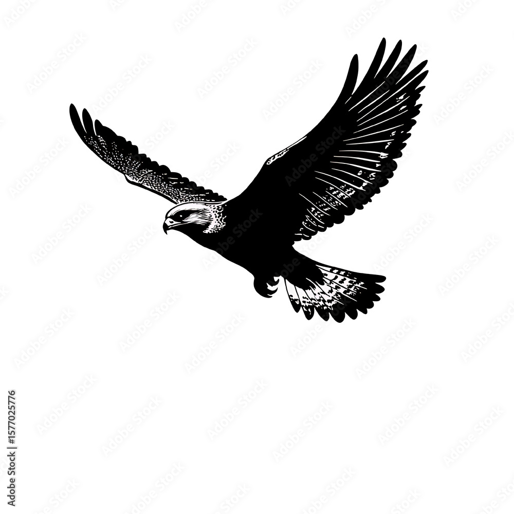 Fototapeta premium Illustration of a black silhouette of a hawk in flight PNG