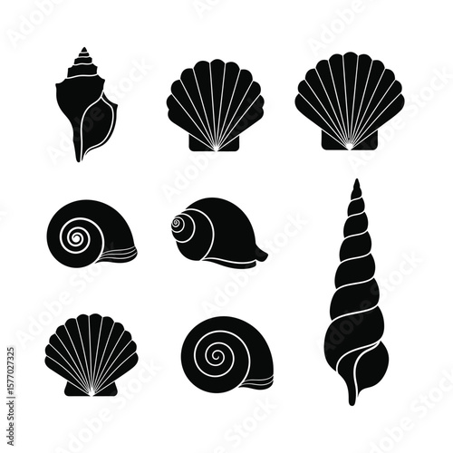 Black and white silhouette illustration of various seashells, including clams, snails, and conches.